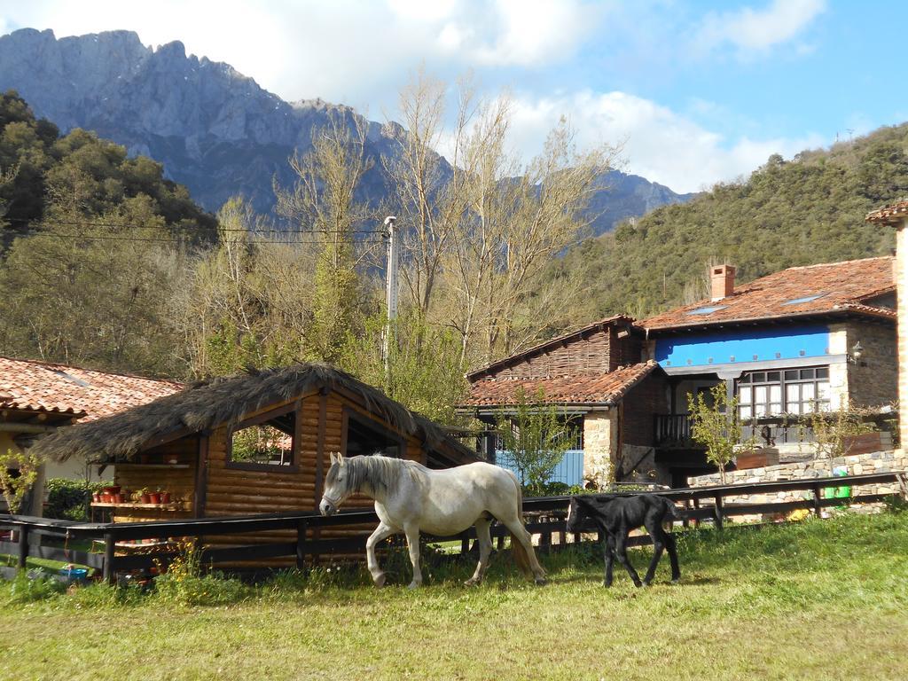 Apartamentos Samelar Camaleno Luaran gambar